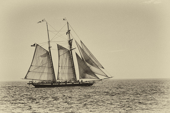 BWweb11