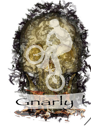 bmxbike copy