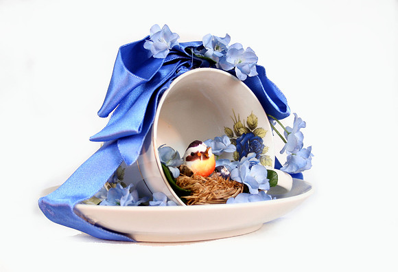 bird1
