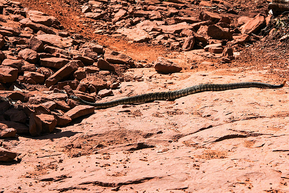 sedona-30-8