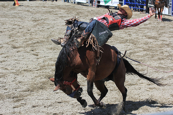 rodeo9