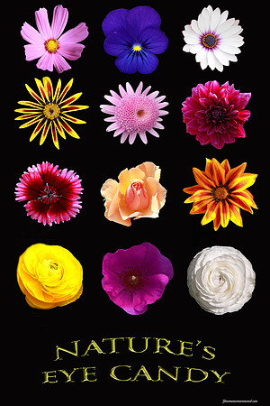 Flowerposter
