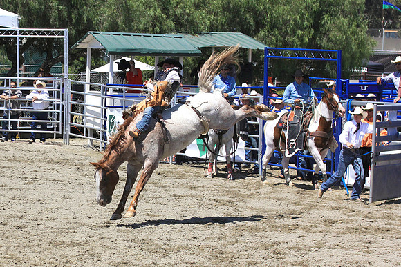 rodeo5
