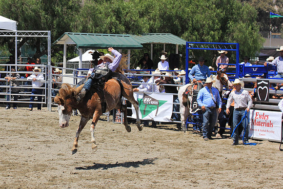 rodeo10