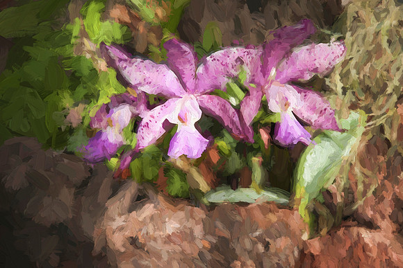 flowertexture22