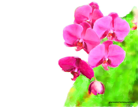 watercolor2