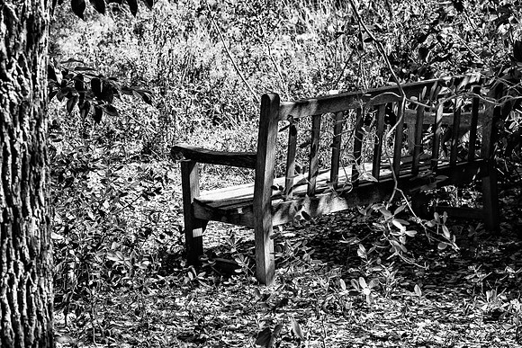 BW Bench