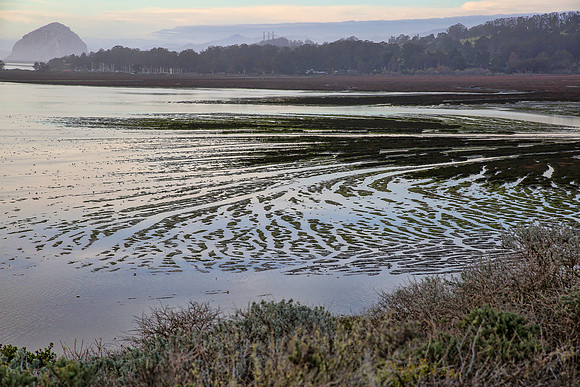 morrobay-9