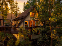 Firefly golden hour