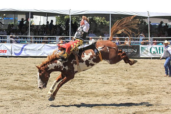rodeo8