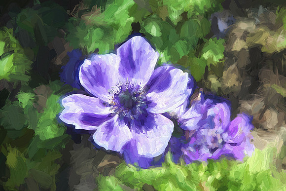 impastoflower copy
