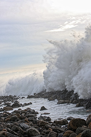 morrobay-7