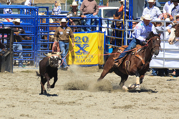 rodeo22