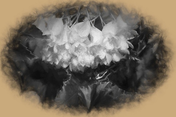 flowertexture24