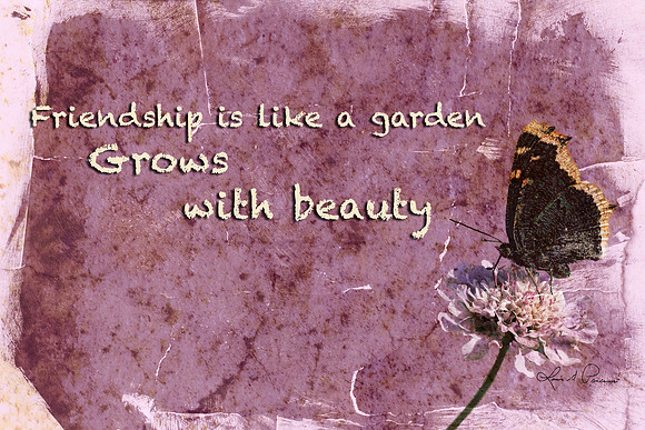flowertexture3