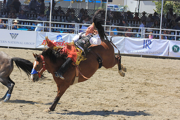 rodeo19