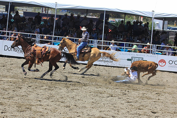 rodeo13