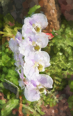 flowertexture20