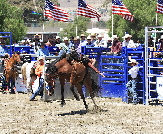 rodeo12