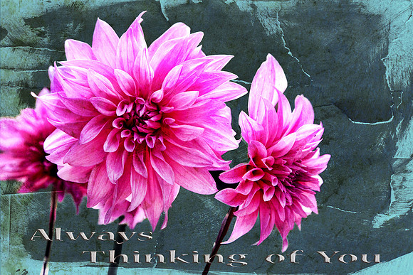 flowertexture1