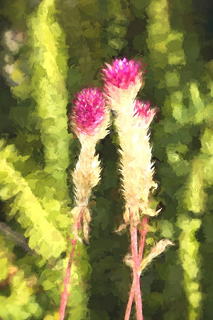 flowertexture25