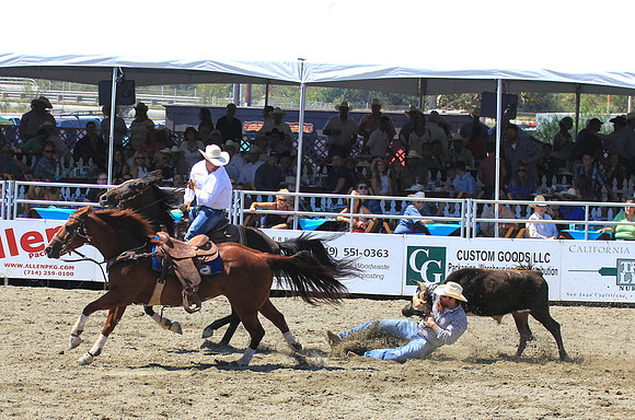 rodeo14