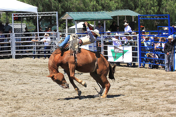 rodeo7