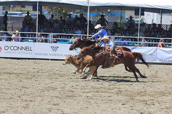 rodeo15