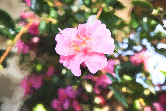 flowertexture23