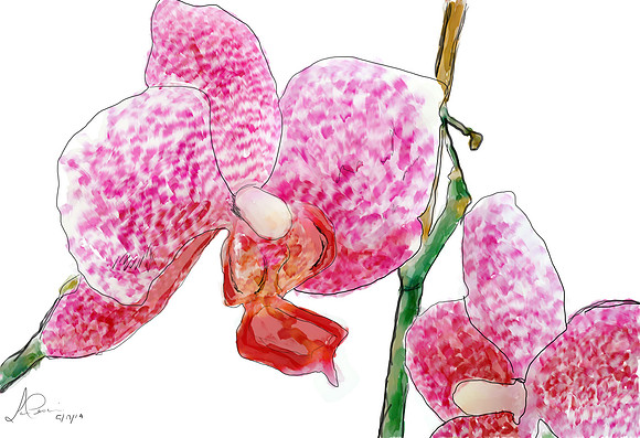 watercolorflower