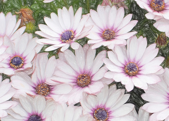 flowers11 copy