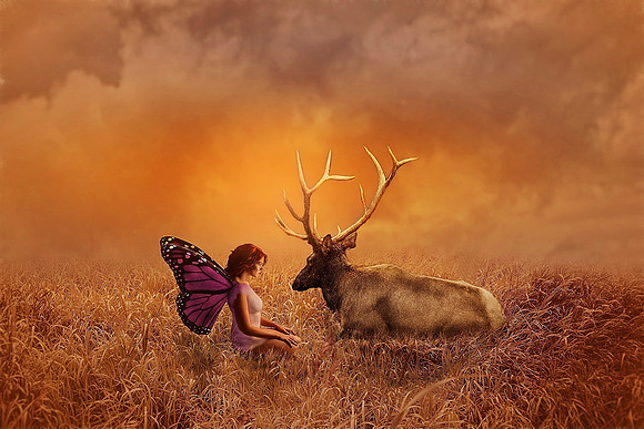 mydeer