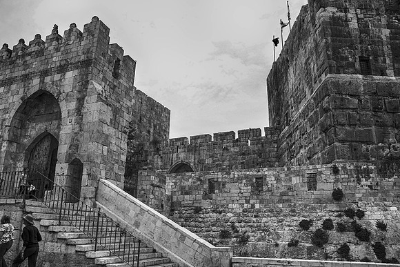 BW47web