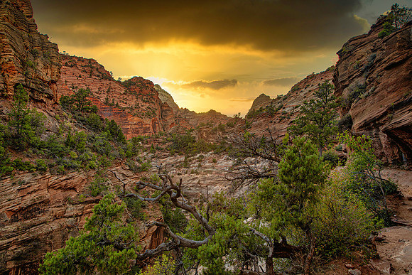 zionsunset