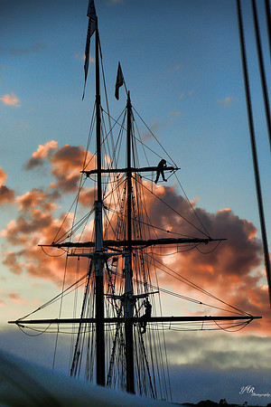 tallshipps-1-2