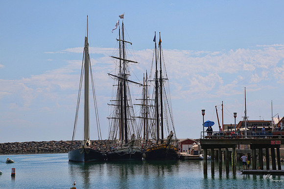 tallshipps-1