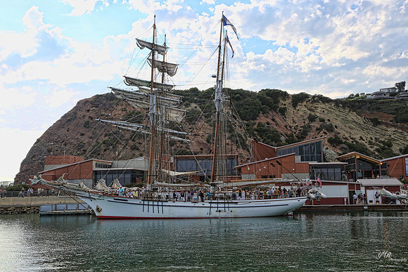 tallshipps-9