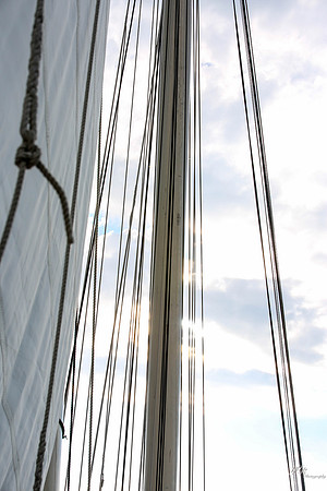 tallshipps-14