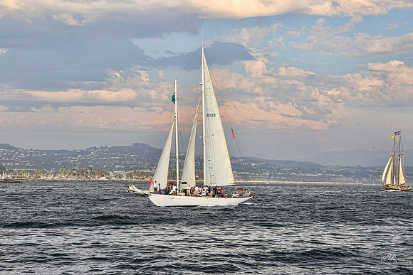 tallshipps-18