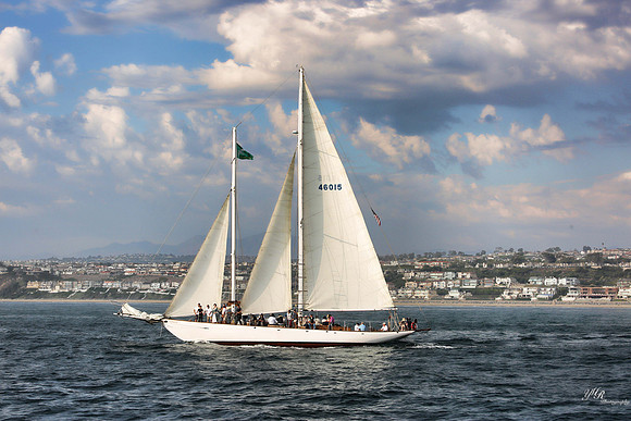 tallshipps-19