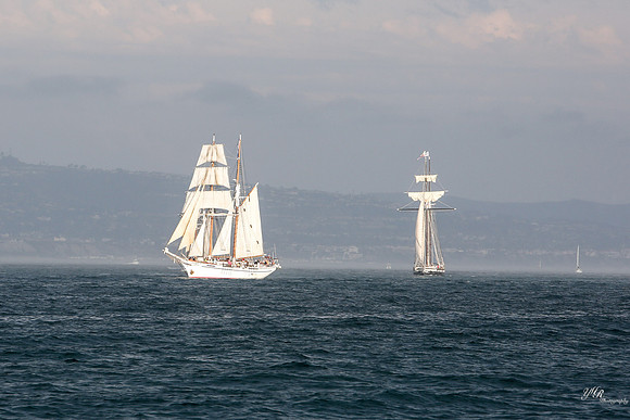 tallshipps-21