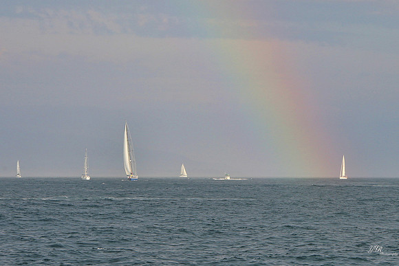 tallshipps-23