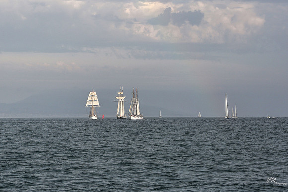 tallshipps-24