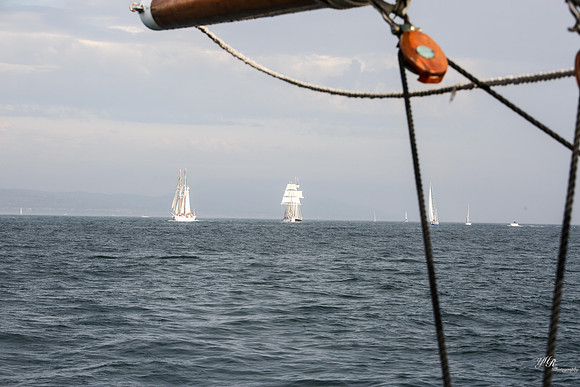 tallshipps-25
