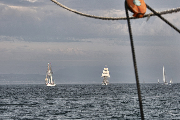 tallshipps-26