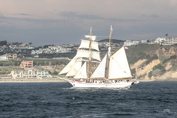 tallshipps-27