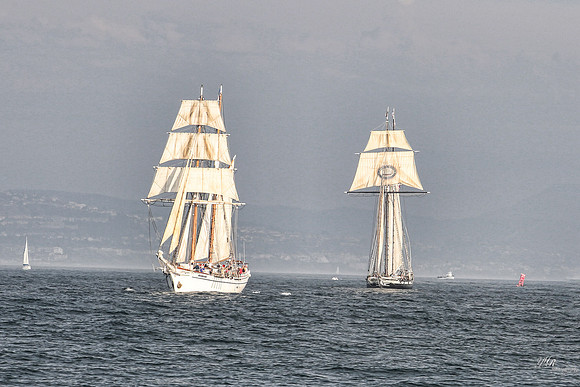 tallshipps-29