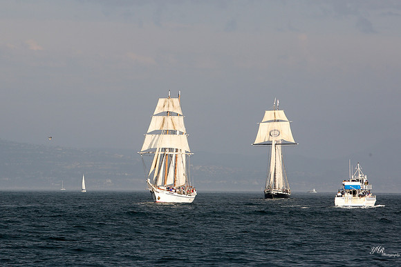 tallshipps-28