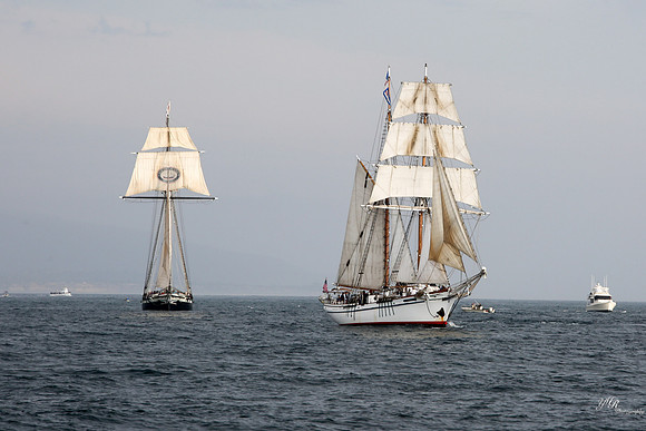 tallshipps-30