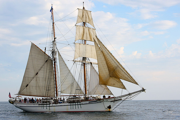 tallshipps-31